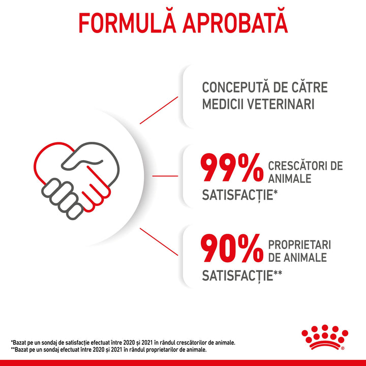 Royal Canin Mother &amp; BabyCat hrana umeda pisica, mama si puiul (textura spumoasa), 195 g