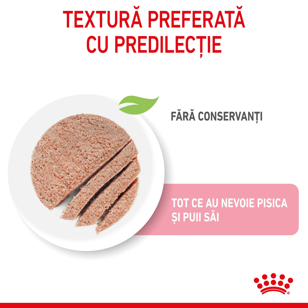 Hrana Umeda Pisici Royal Canin AA35R | Mama, Pui, 195g