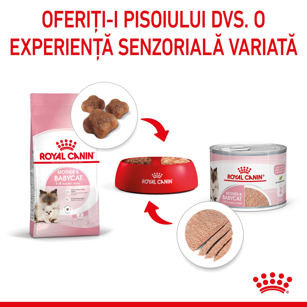 Hrana Umeda Pisici Royal Canin AA35R | Mama, Pui, 195g