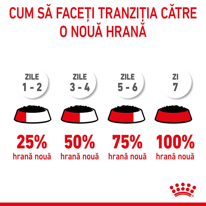 Hrana Umeda Pisici Royal Canin AA35R | Mama, Pui, 195g