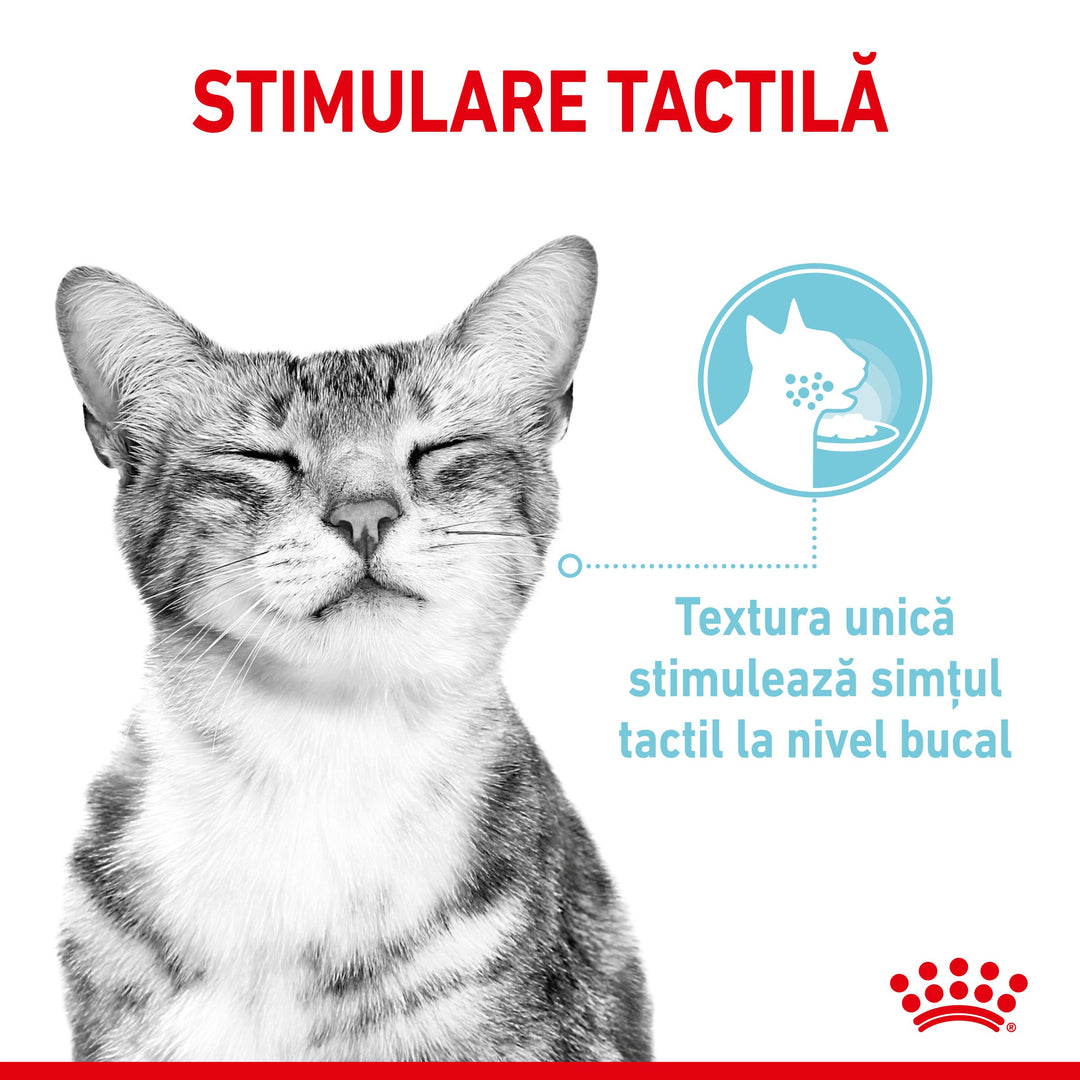Royal Canin Sensory Feel, hrana umeda pisici, stimularea simtului tactil (in sos), 12 x 85 g