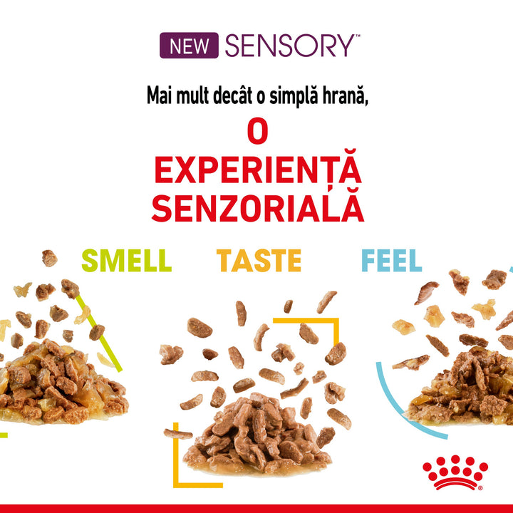 Royal Canin Sensory Feel, hrana umeda pisici, stimularea simtului tactil (in sos), 12 x 85 g