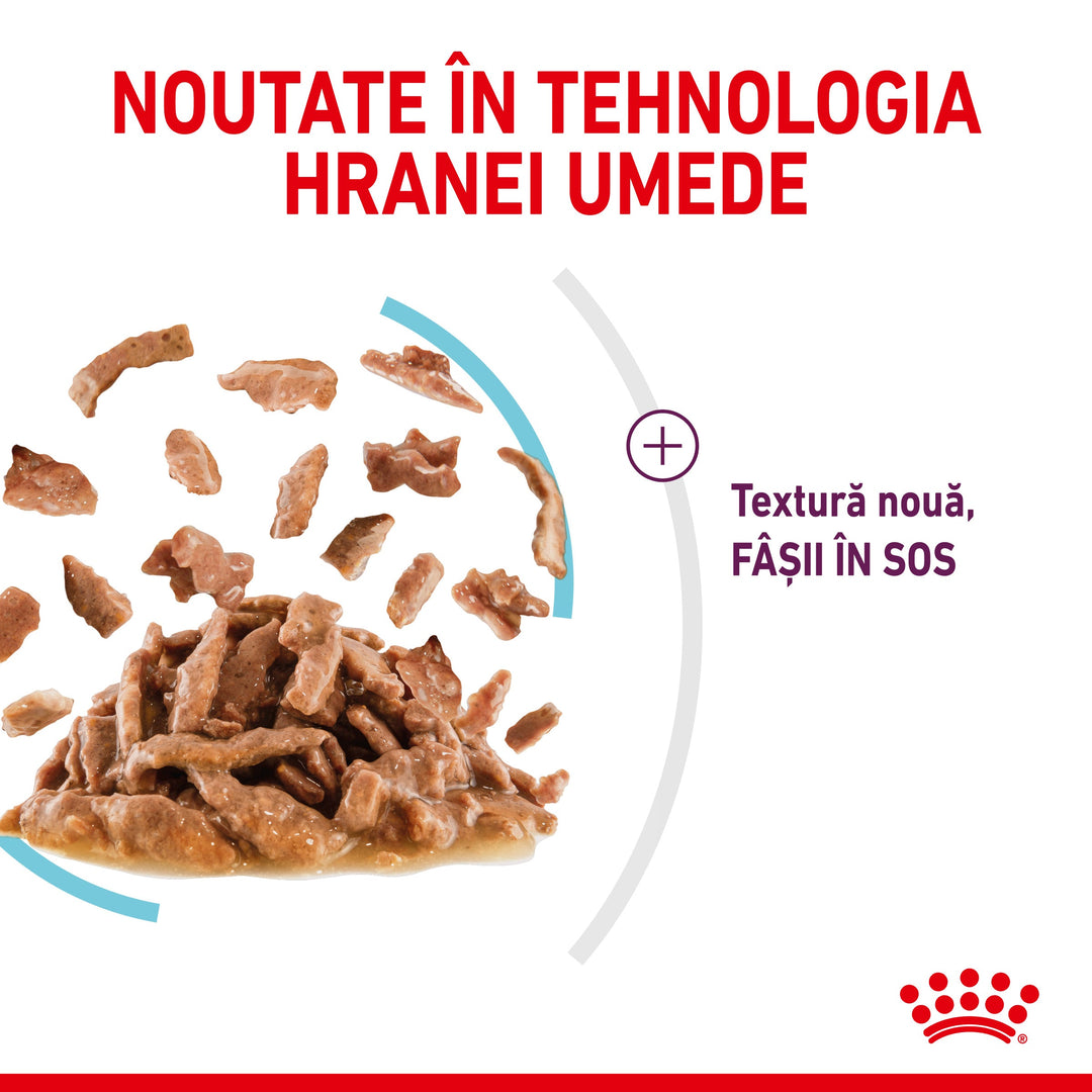 Royal Canin Sensory Feel, hrana umeda pisici, stimularea simtului tactil (in sos), 12 x 85 g
