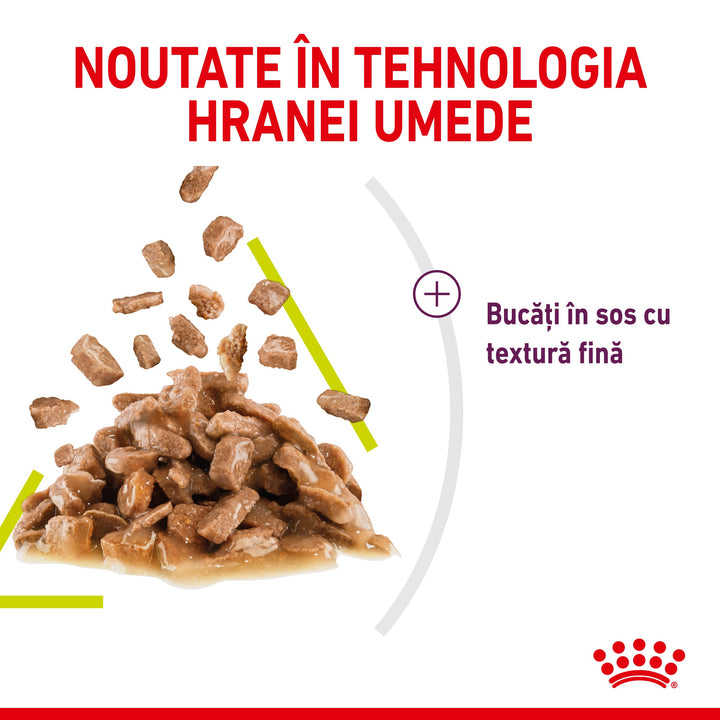 Royal Canin Sensory Smell, hrana umeda pisici, stimularea mirosului (in sos), 12 x 85 g