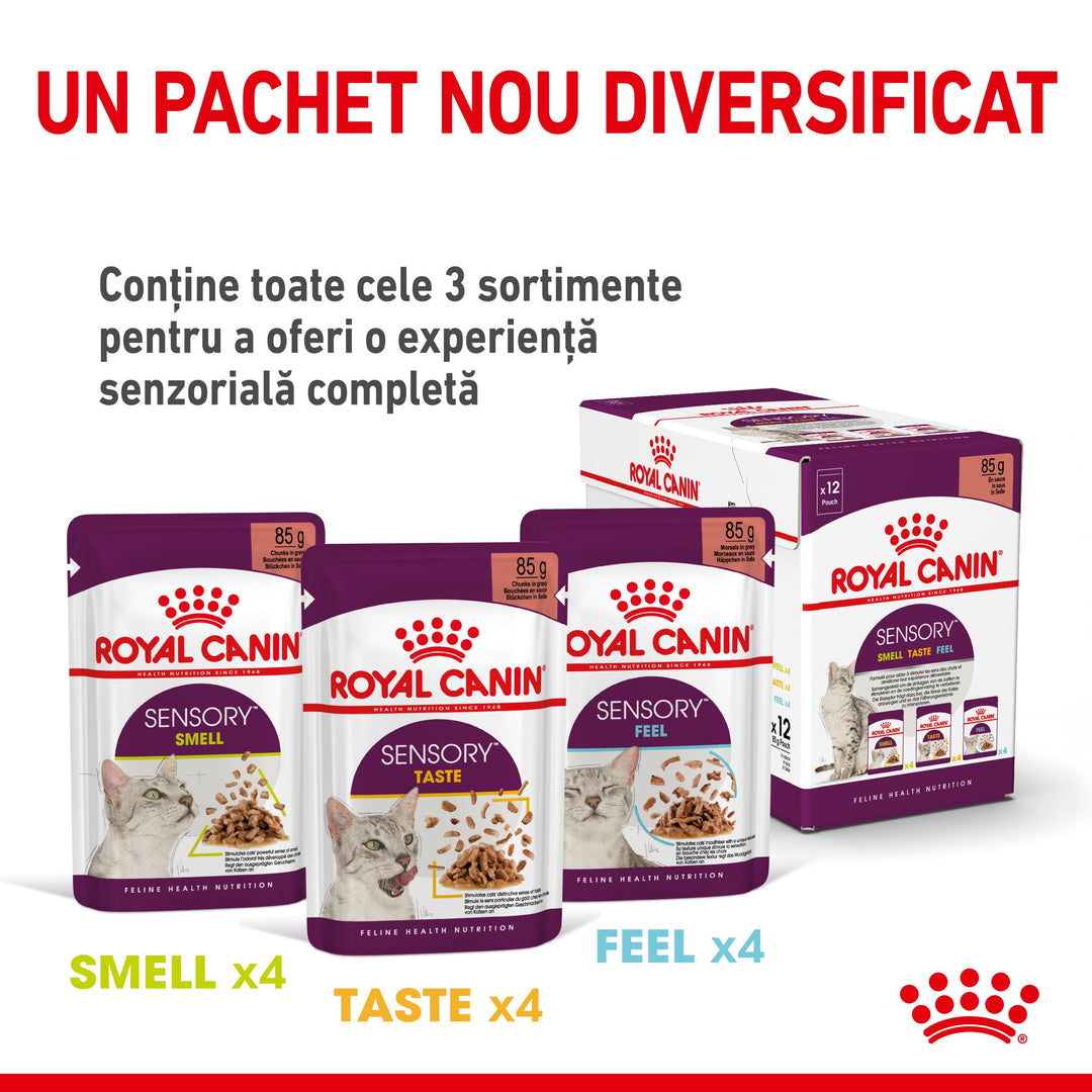 Royal Canin Sensory Smell, hrana umeda pisici, stimularea mirosului (in sos), 12 x 85 g