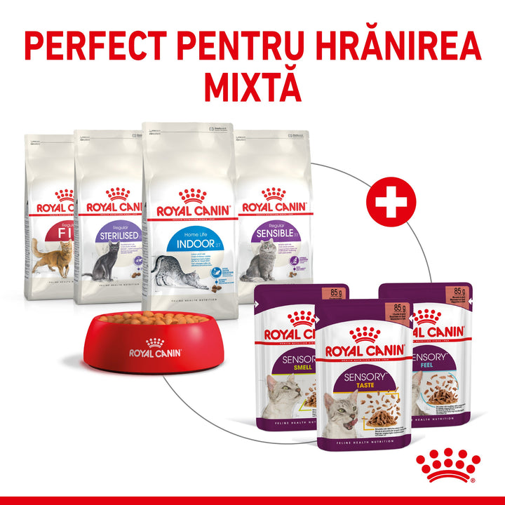 Royal Canin Sensory Smell, hrana umeda pisici, stimularea mirosului (in sos), 12 x 85 g