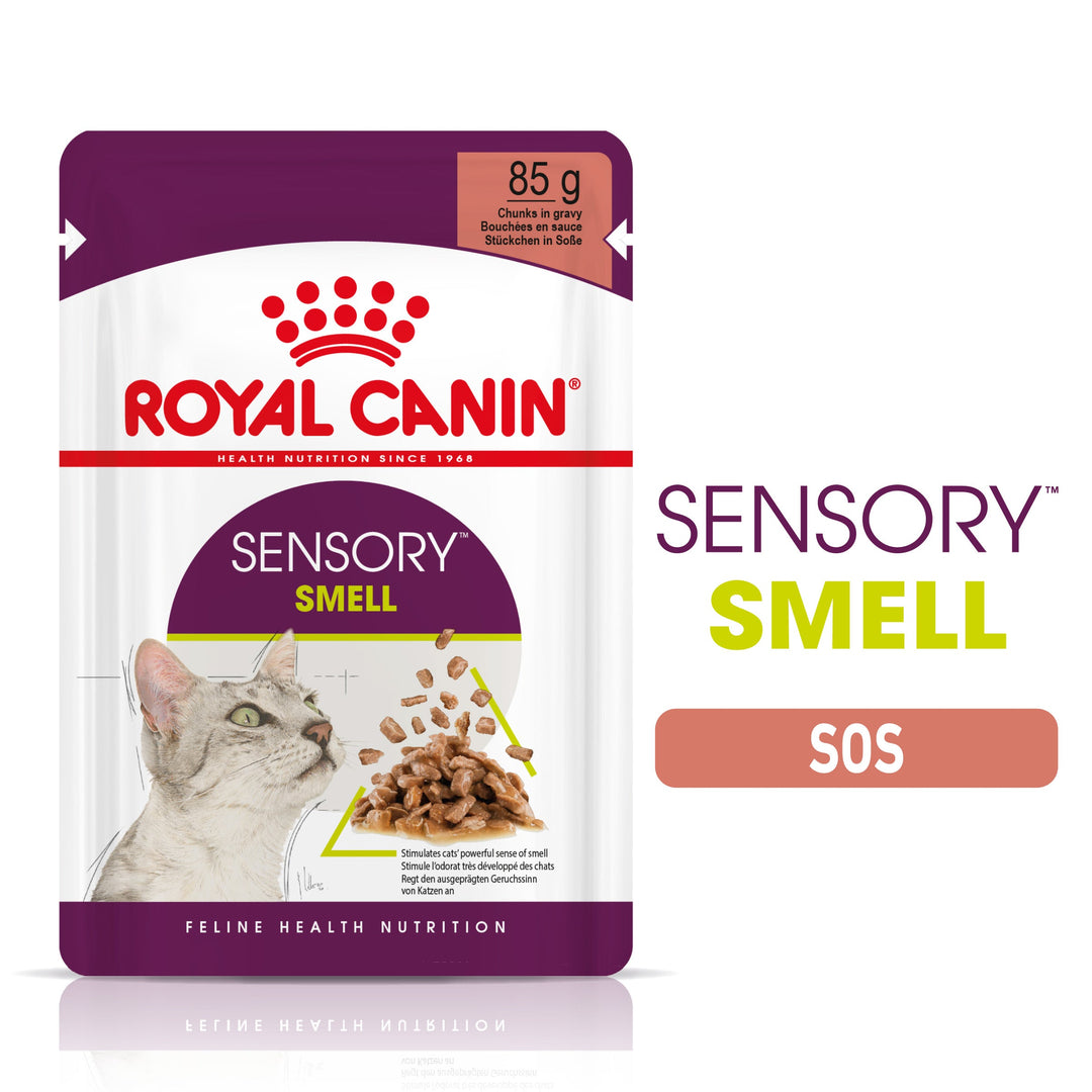 Hrana Umeda Pisici Royal Canin 303370 | Sensory Smell, 85g