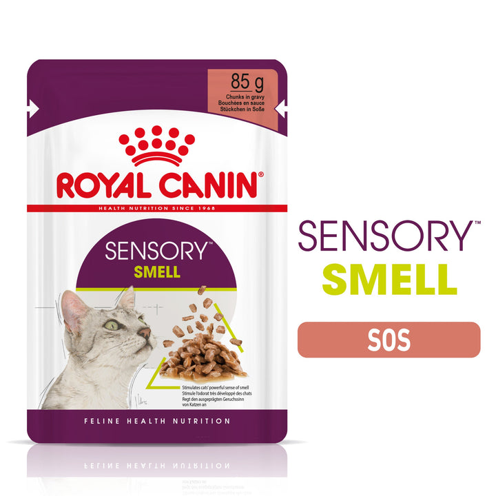 Hrana Umeda Pisici Royal Canin 303370 | Sensory Smell, 85g