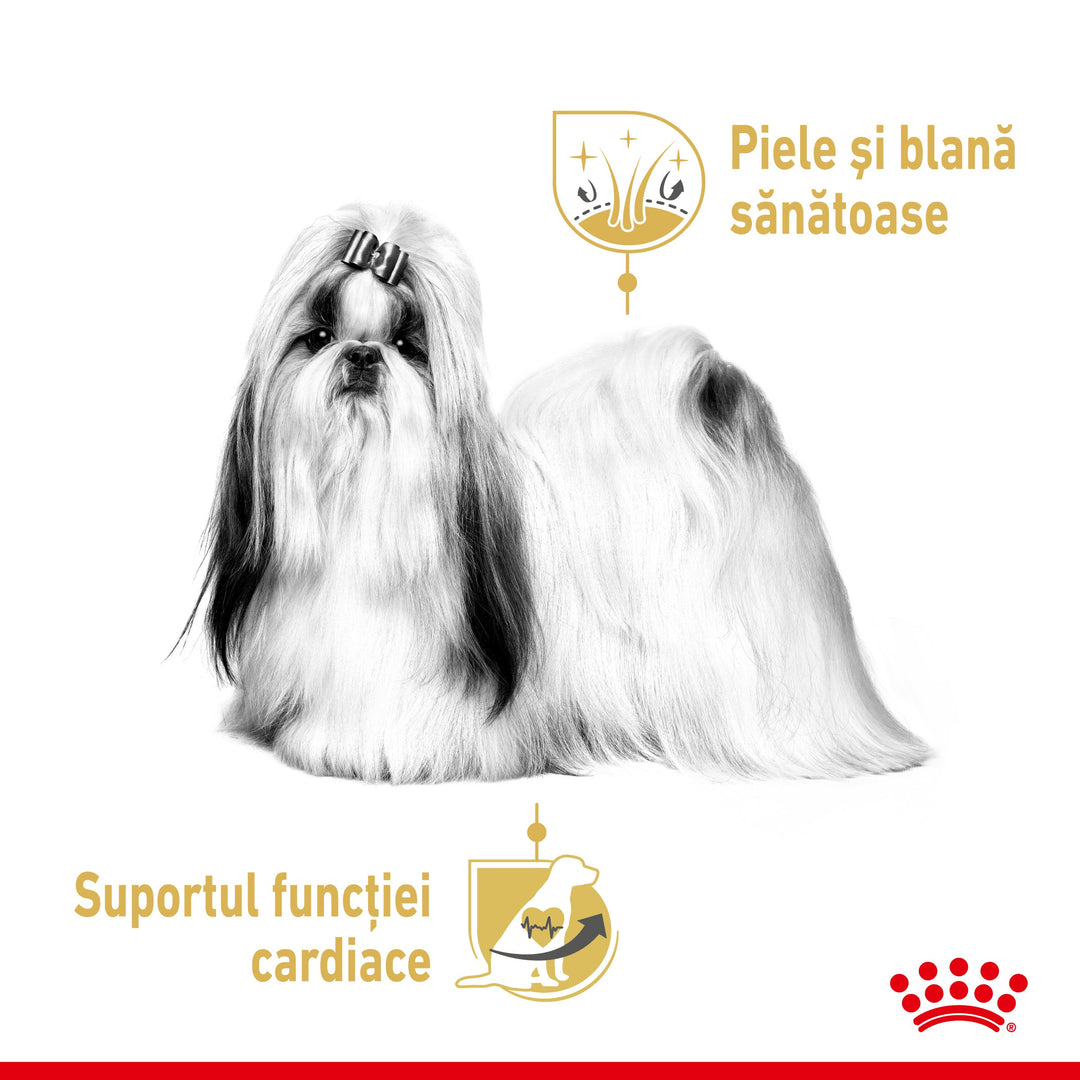 Royal Canin Shih Tzu Adult hrana umeda caine (pate), 12 x 85 g