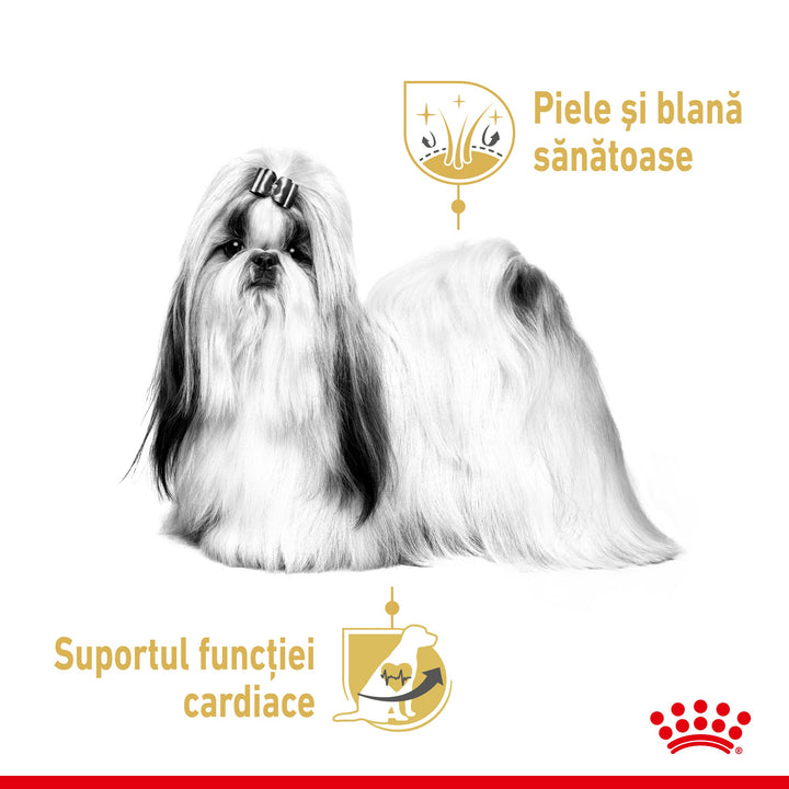 Royal Canin Shih Tzu Adult hrana umeda caine (pate), 12 x 85 g
