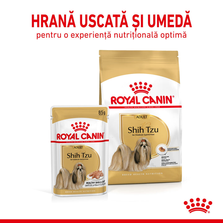 Royal Canin Shih Tzu Adult hrana umeda caine (pate), 12 x 85 g