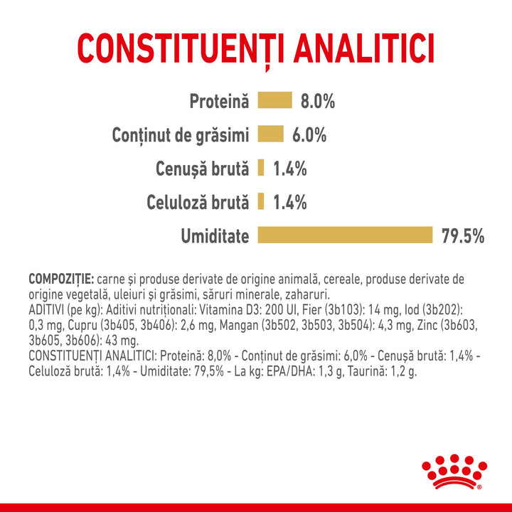 Royal Canin Shih Tzu Adult hrana umeda caine (pate), 12 x 85 g