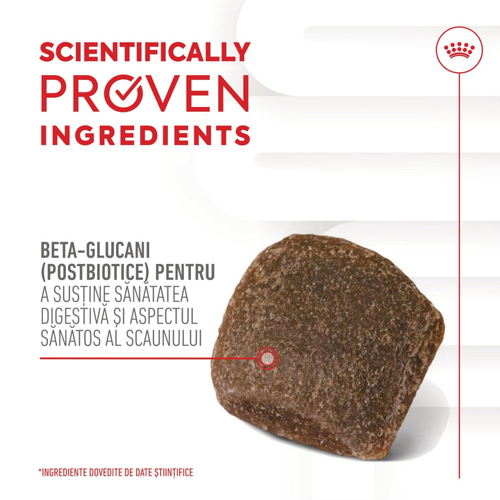 Royal Canin Digestion Chews Adult Supplements, suplimente masticabile, 160g