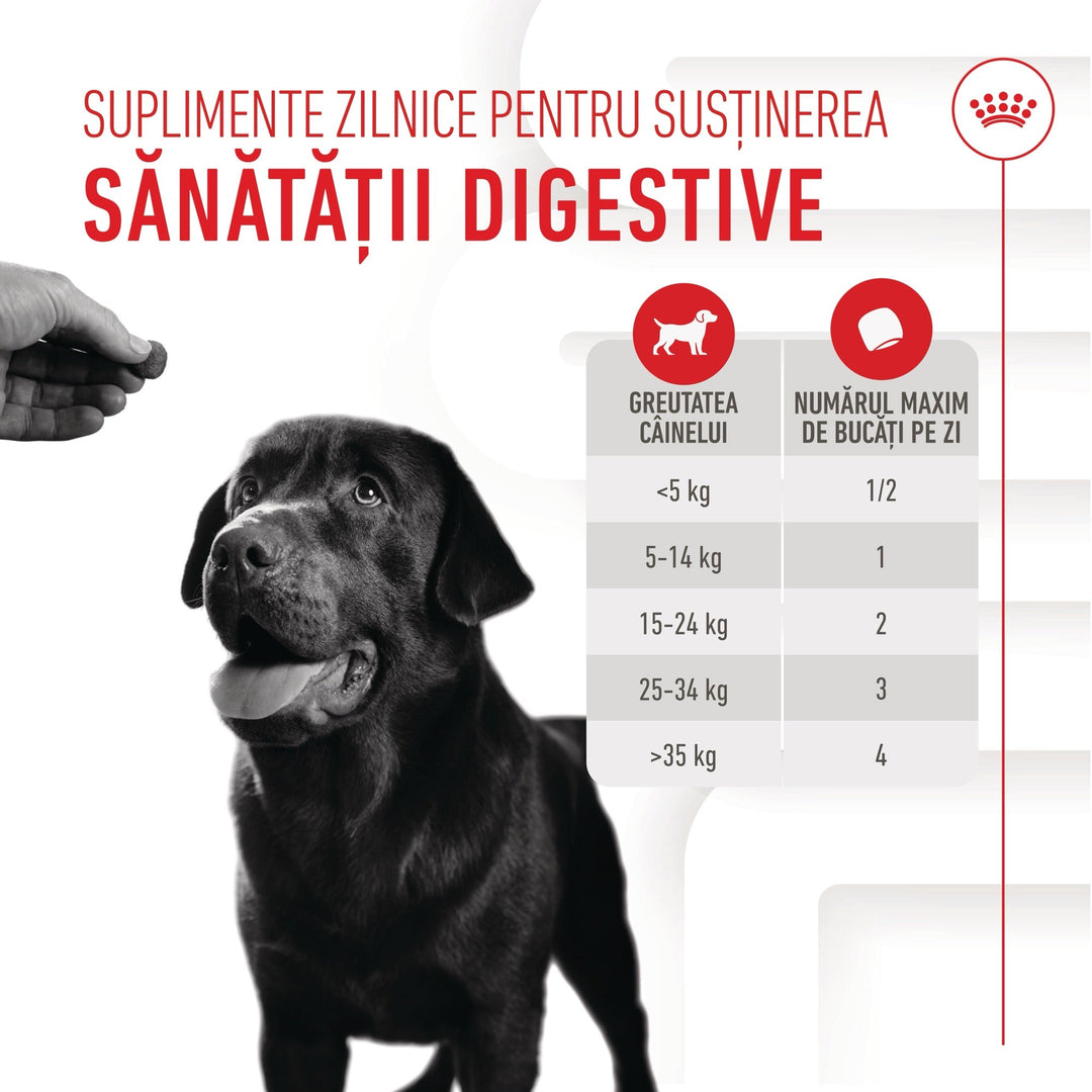 Royal Canin Digestion Chews Adult Supplements, suplimente masticabile, 160g