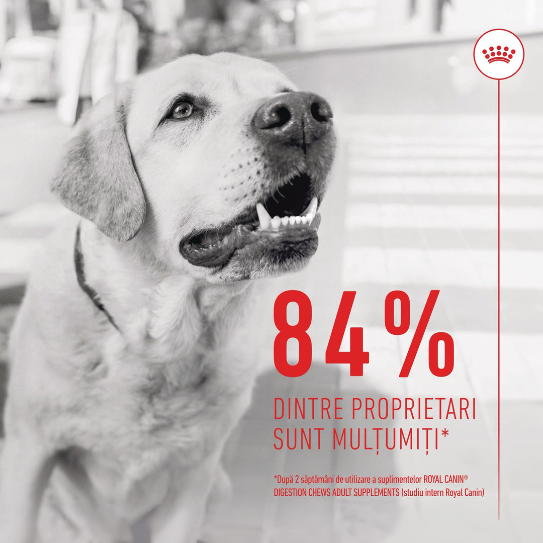 Suplimente Royal Canin R471809 | Digestion, Adult, 160g