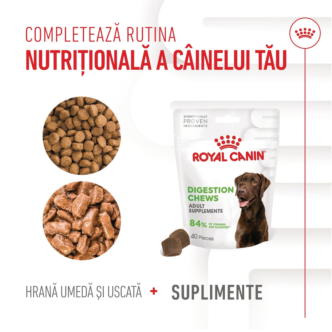 Suplimente Royal Canin R471809 | Digestion, Adult, 160g