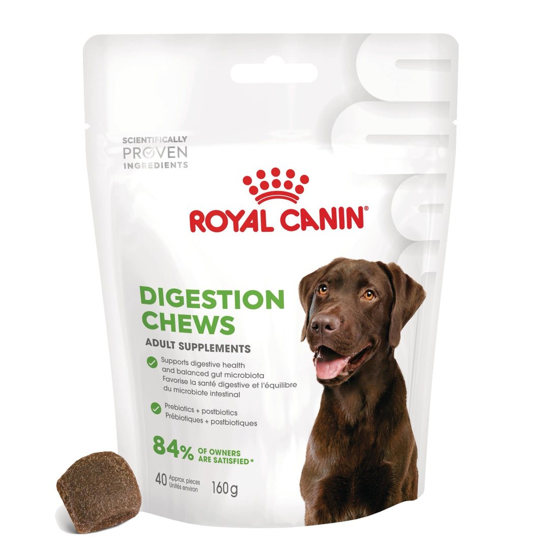 Royal Canin Digestion Chews Adult Supplements, suplimente masticabile, 160g