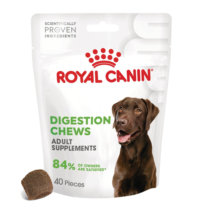 Royal Canin Digestion Chews Adult Supplements, suplimente masticabile, 160g