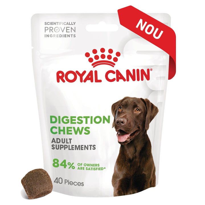 Royal Canin Digestion Chews Adult Supplements, suplimente masticabile, 160g
