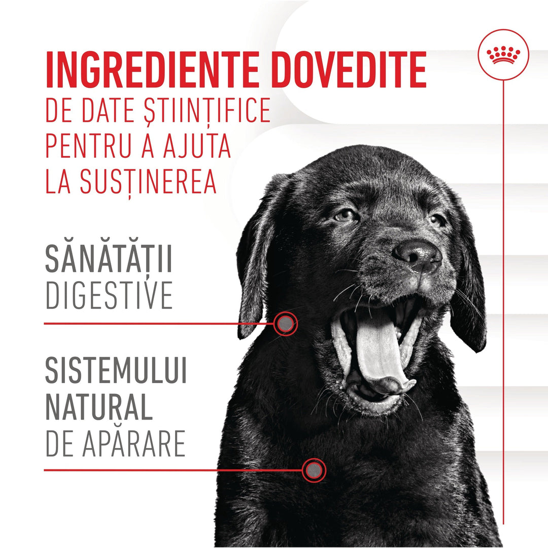Royal Canin Immunity &amp; Digestion Chews Puppy Supplements, suplimente masticabile, 100g