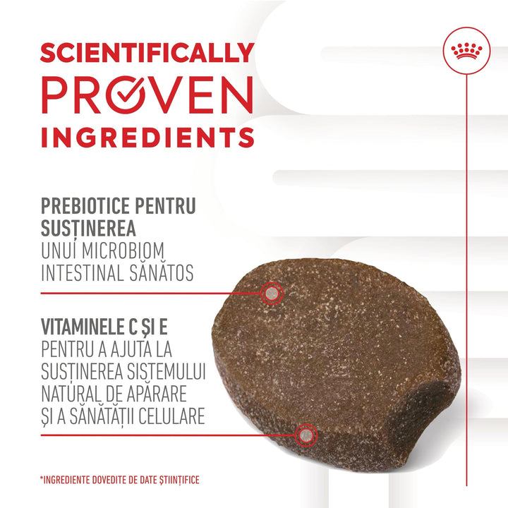 Royal Canin Immunity &amp; Digestion Chews Puppy Supplements, suplimente masticabile, 100g
