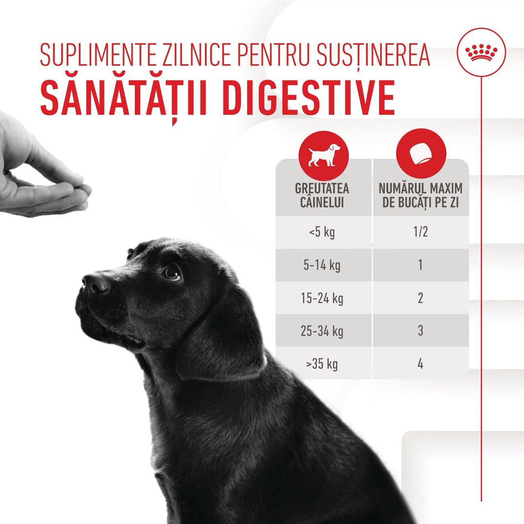 Royal Canin Immunity &amp; Digestion Chews Puppy Supplements, suplimente masticabile, 100g