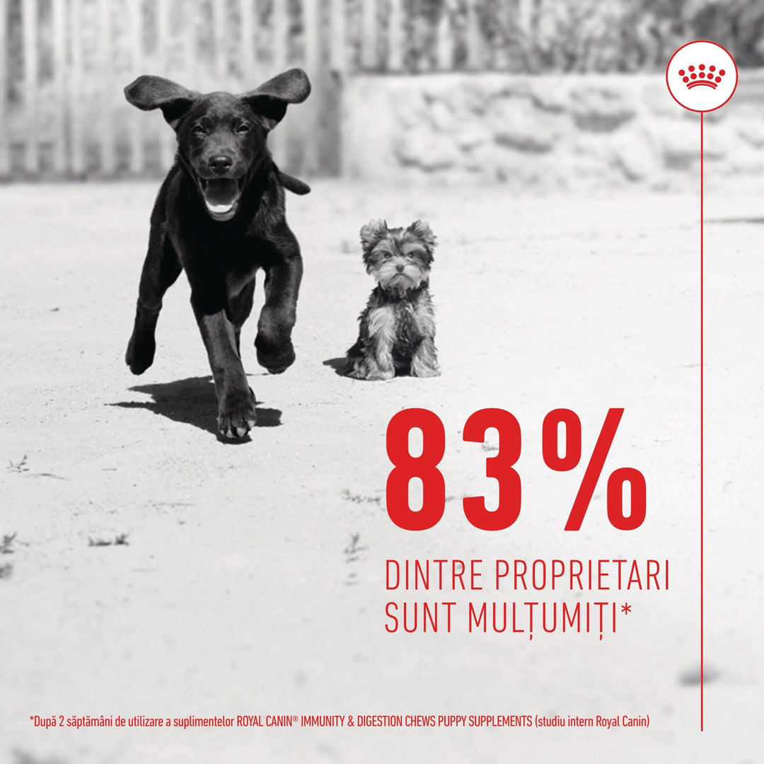 Suplimente Royal Canin R471804 | Imunitate, Digestie, 100g