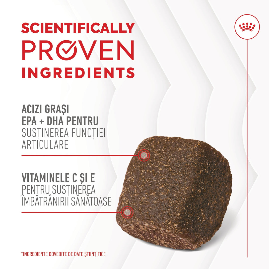 Royal Canin Joint &amp; Ageing Chews Adult Supplements, suplimente masticabile, 240g
