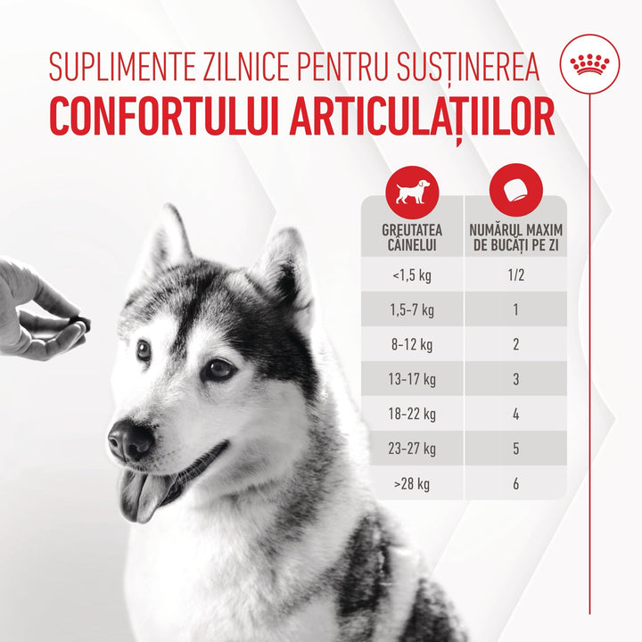 Royal Canin Joint &amp; Ageing Chews Adult Supplements, suplimente masticabile, 240g