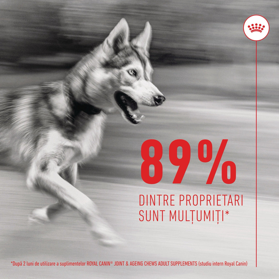 Suplimente Royal Canin R471815 | Joint, Ageing, 240g