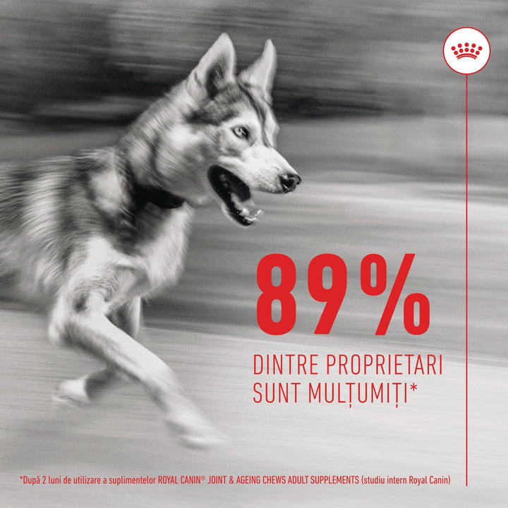Suplimente Royal Canin R471815 | Joint, Ageing, 240g