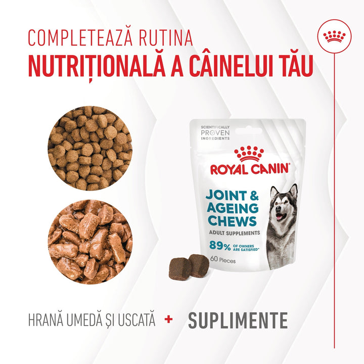 Suplimente Royal Canin R471815 | Joint, Ageing, 240g