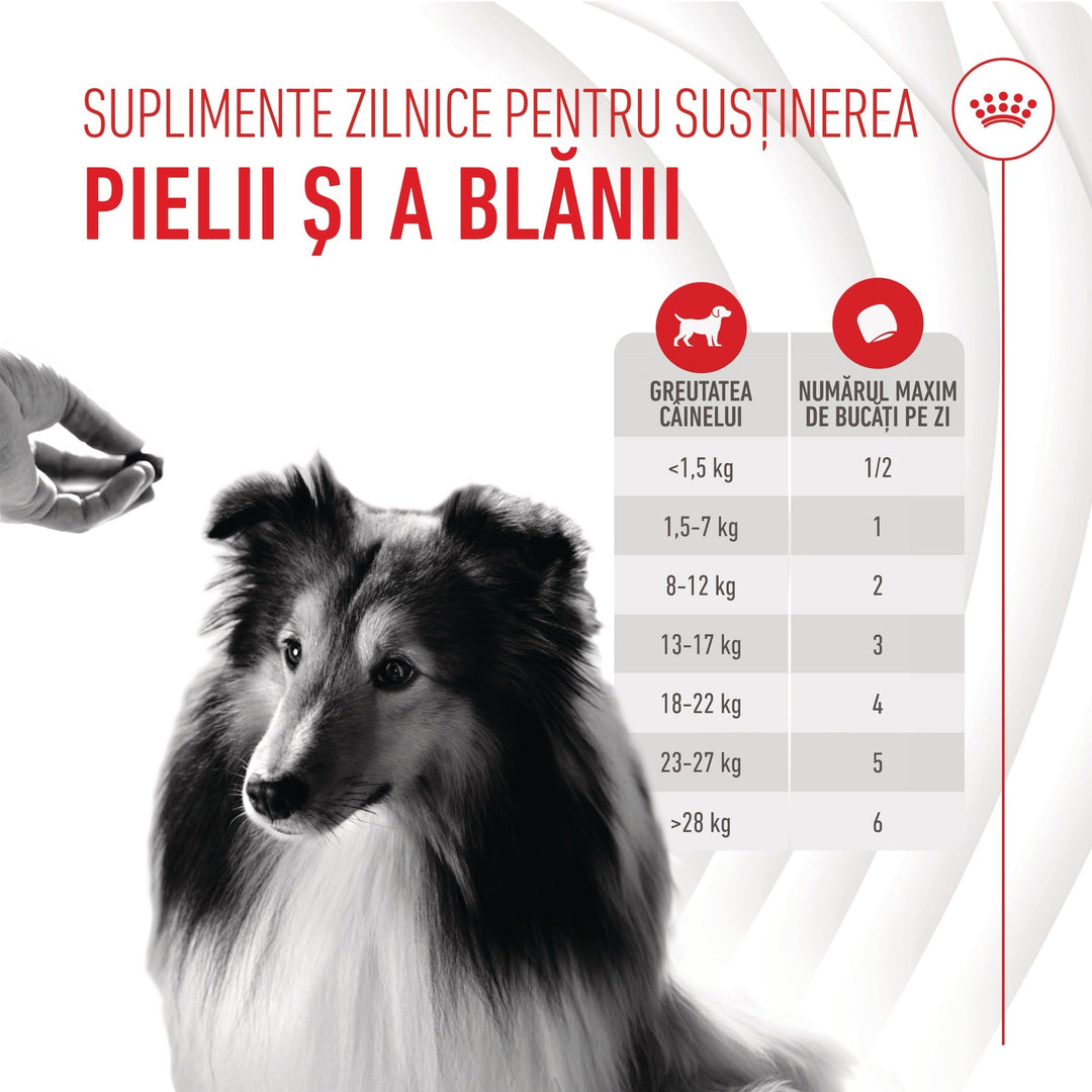 Royal Canin Skin &amp; Coat chews Adult Supplements, suplimente masticabile, 240g