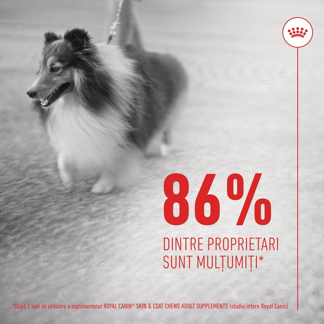 Suplimente Royal Canin R471812 | Skin &amp; Coat, 240g