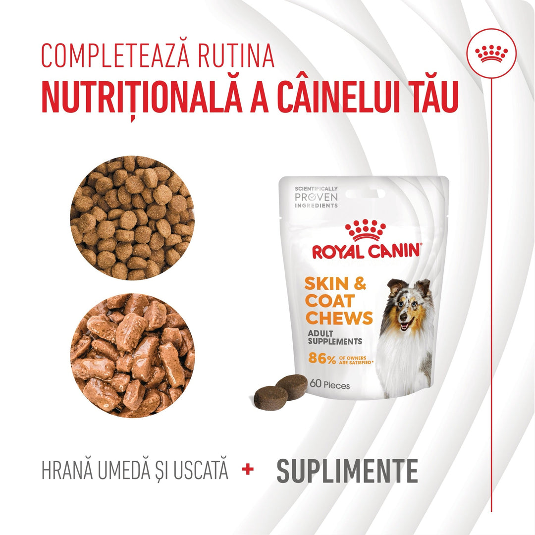 Suplimente Royal Canin R471812 | Skin &amp; Coat, 240g