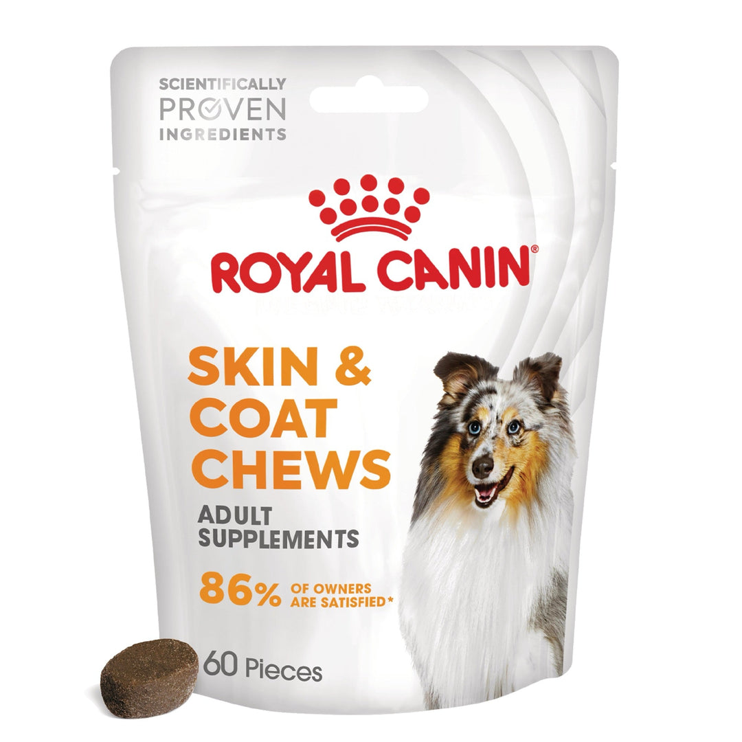 Royal Canin Skin & Coat chews Adult Supplements, suplimente masticabile, 240g
