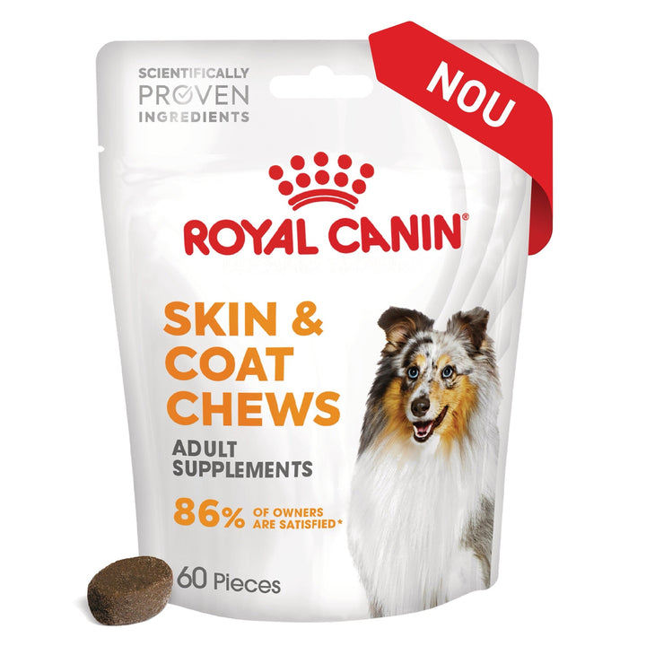 Royal Canin Skin &amp; Coat chews Adult Supplements, suplimente masticabile, 240g