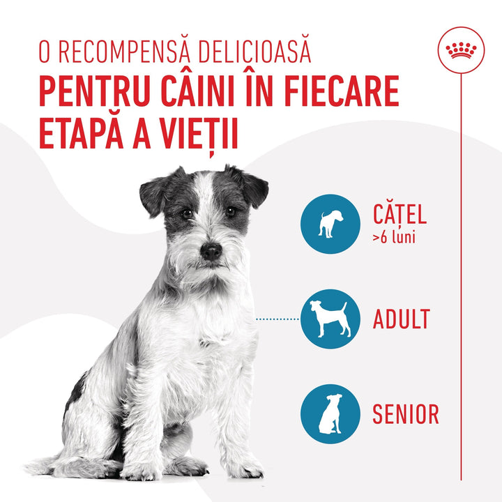 Royal Canin Training Treats, recompense nutritionale pentru dresaj, 8x110g