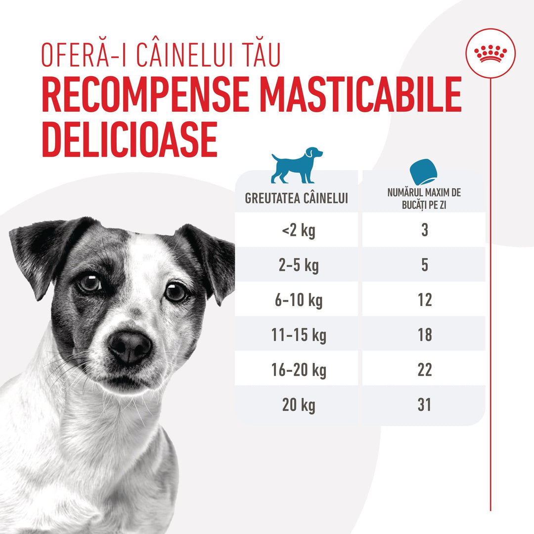 Snackuri Caini Royal Canin R4718181 | Training, 8x110g