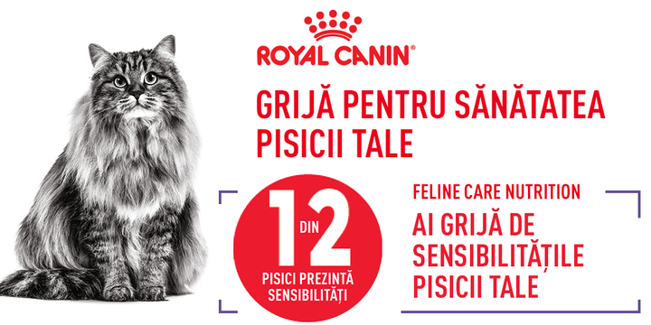 Hrana Uscata Pisici Royal Canin 216220 | Oral Care, Adult, 1.5kg