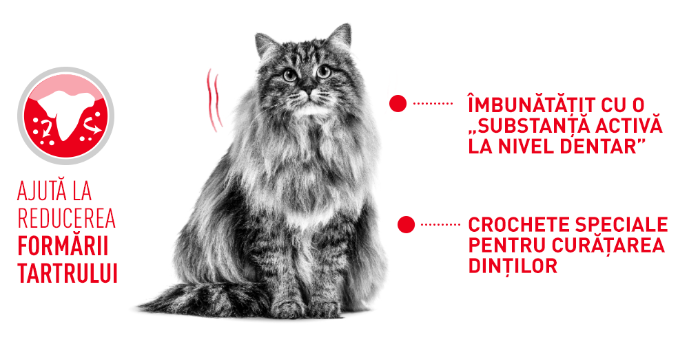 Hrana Uscata Pisici Royal Canin 216220 | Oral Care, Adult, 1.5kg