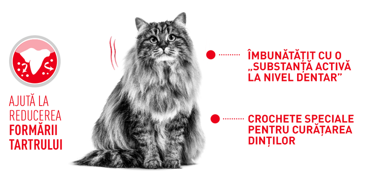 Hrana Uscata Pisici Royal Canin 216220 | Oral Care, Adult, 1.5kg