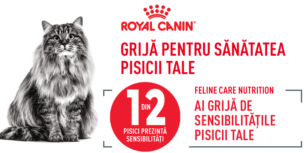 Hrana Umeda Pisici Royal Canin CW36R | Piele, Blana, 85g