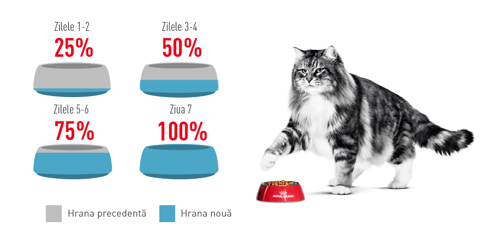 Hrana Umeda Pisici Royal Canin AK02K | Urinary, 85g