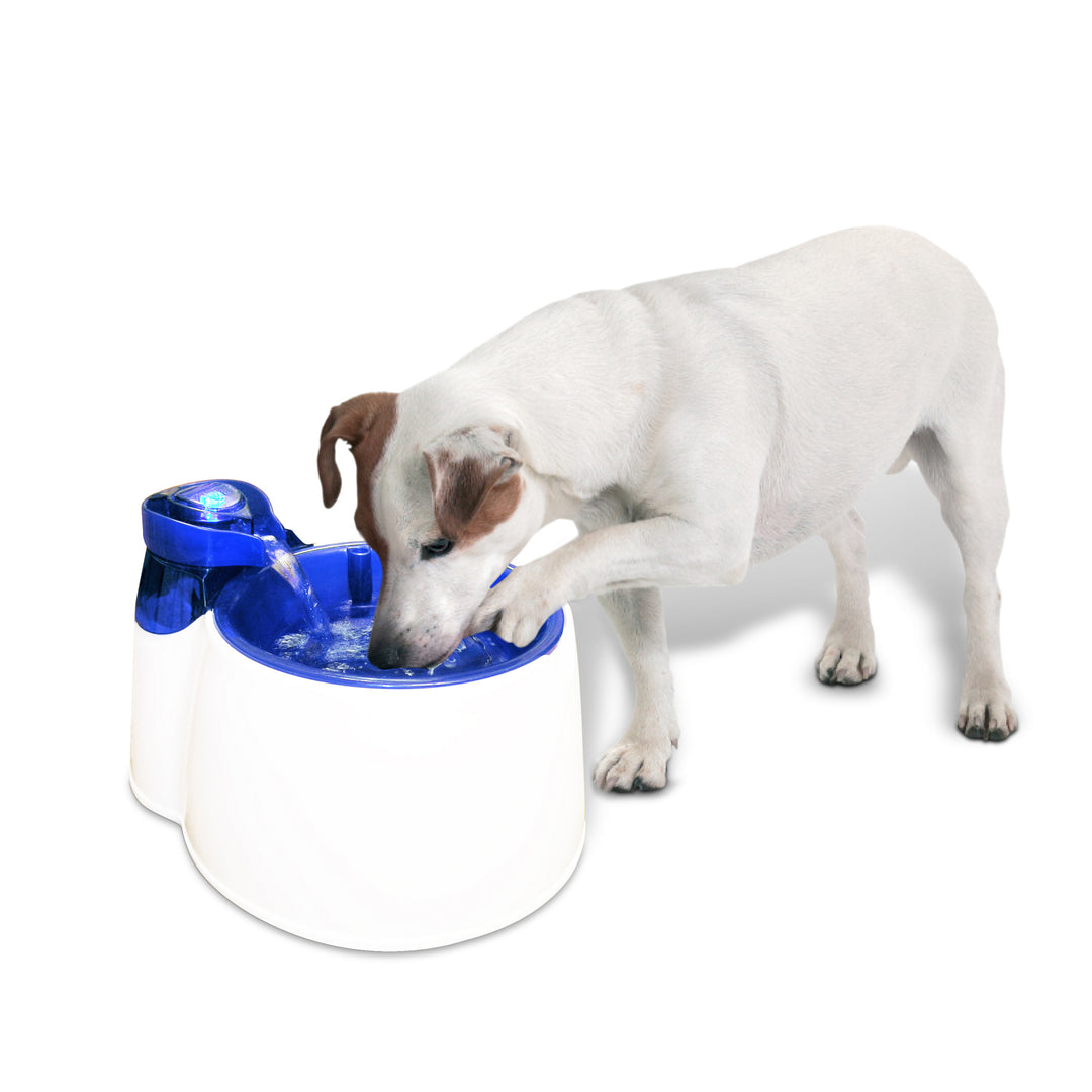 All for Paws Fantana pentru Caini 3l