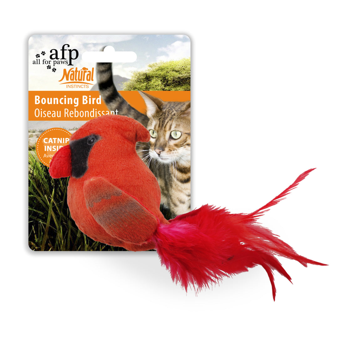 All for paws Jucarie Bouncing Bird pentru Pisici