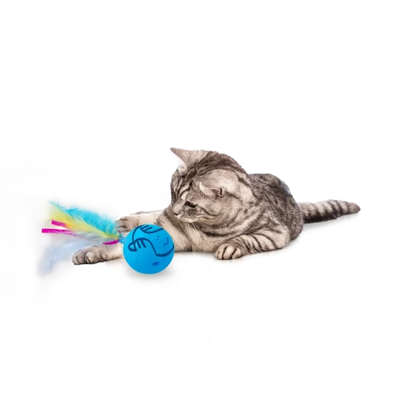 All for Paws Jucarie Dizzy Spinner pentru Pisici