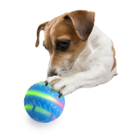 All for Paws Minge Interactiva Motion Activated pentru Caini