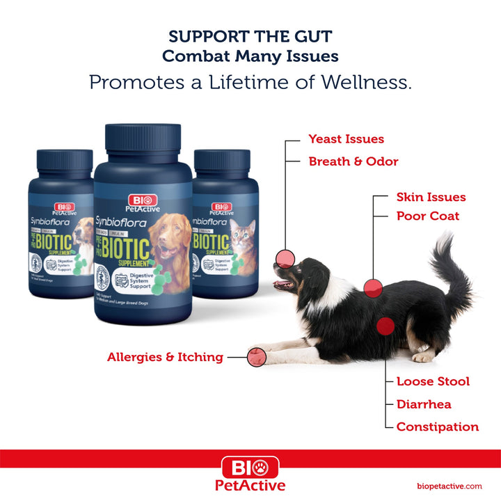 Bio PetActive Synbioflora pentru Caini de Talie Mica 5kg