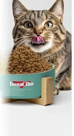 BonaCibo Adult Cat Sterilised Urinary Care cu Somon 15 Kg